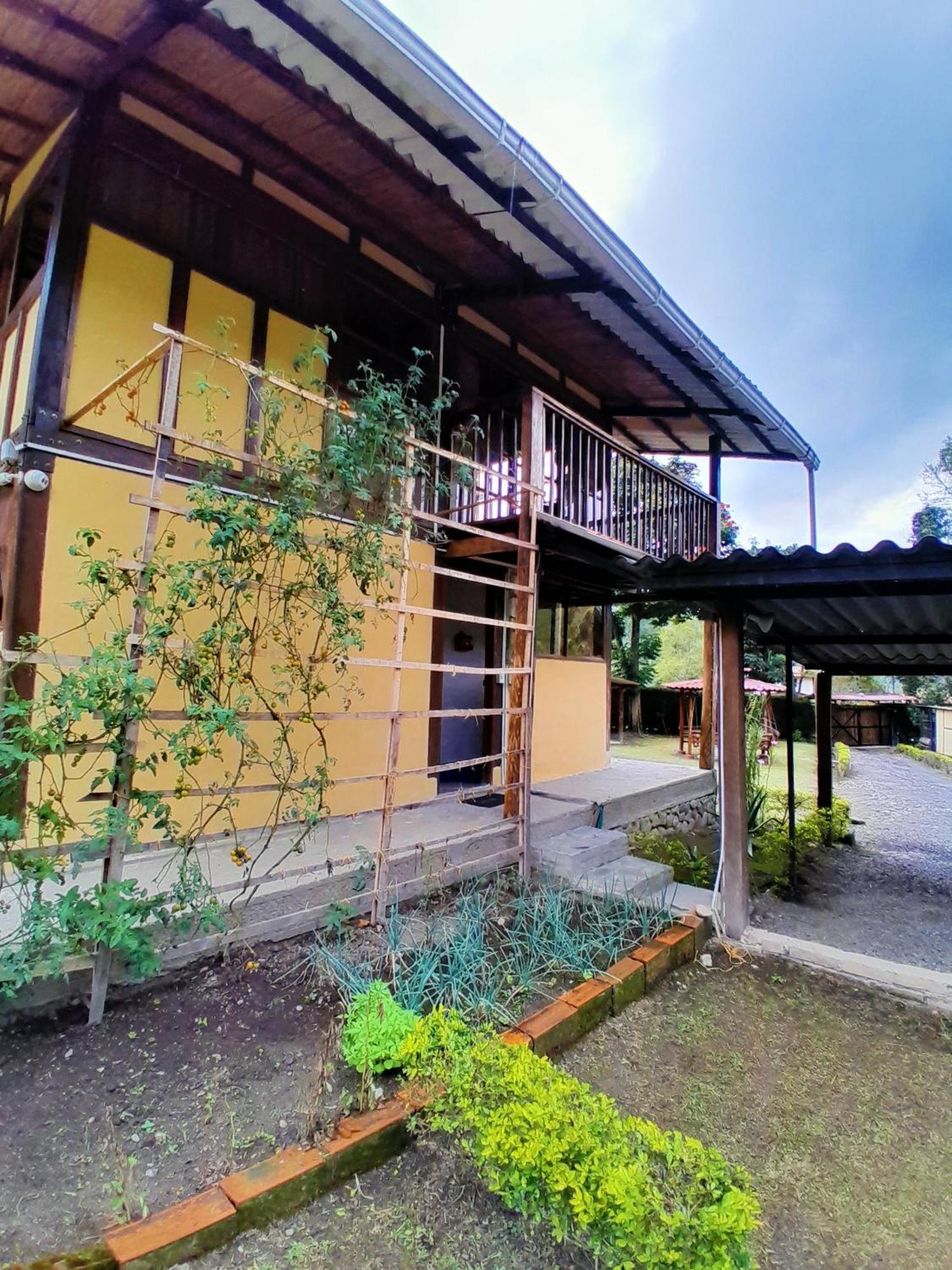 Casa Campo Valle De Cocora سالنتو المظهر الخارجي الصورة