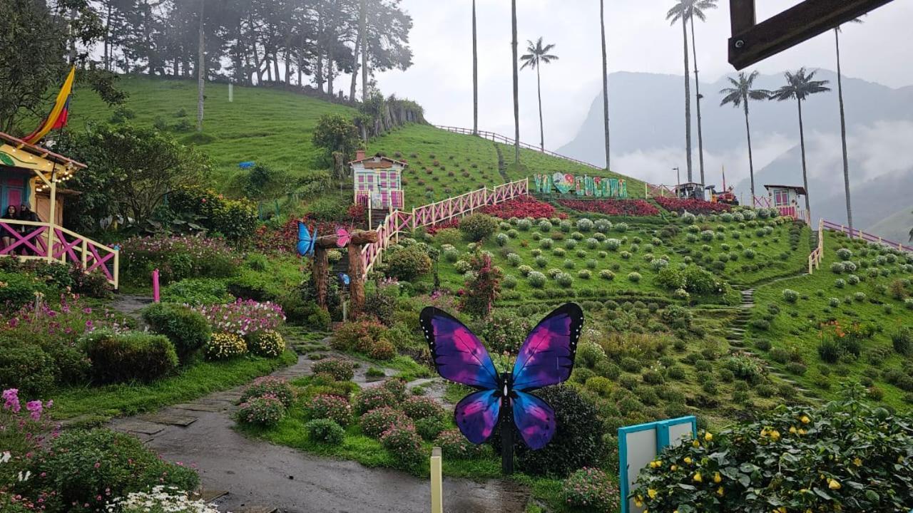 Casa Campo Valle De Cocora سالنتو المظهر الخارجي الصورة